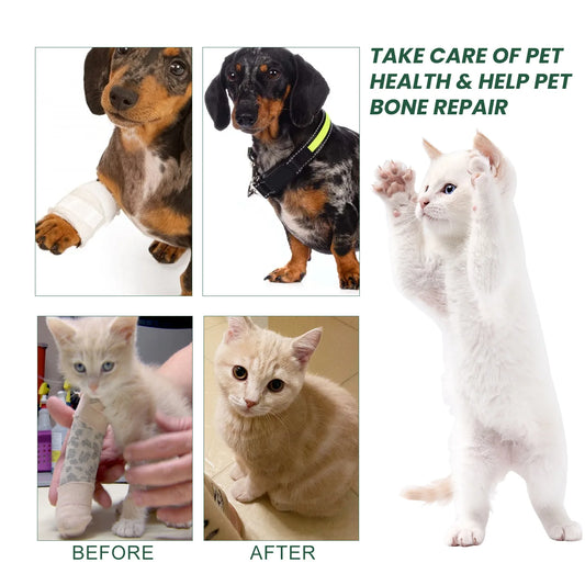 Dog Joint Care Drop Joint Discomfort Relief Bone Deformity Repair Arthritis Healing Hip Joint Supplement Pet Bone Care Solution