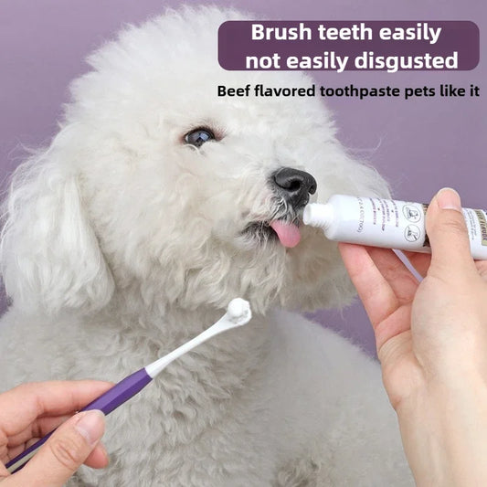 Pet Dental Care Gel Natural Beef Flavor Toothpaste for Dogs Cats Plaque Remover Fresh Breath Oral Solution Pet Supplies