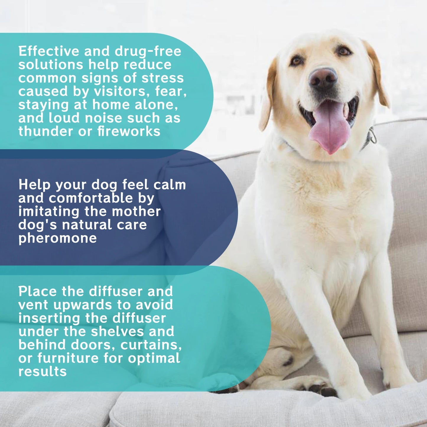 Pet Emotion Care Liquid: Calming and Soothing Care Liquid to Relieve Anxiety in Cats and Dogs