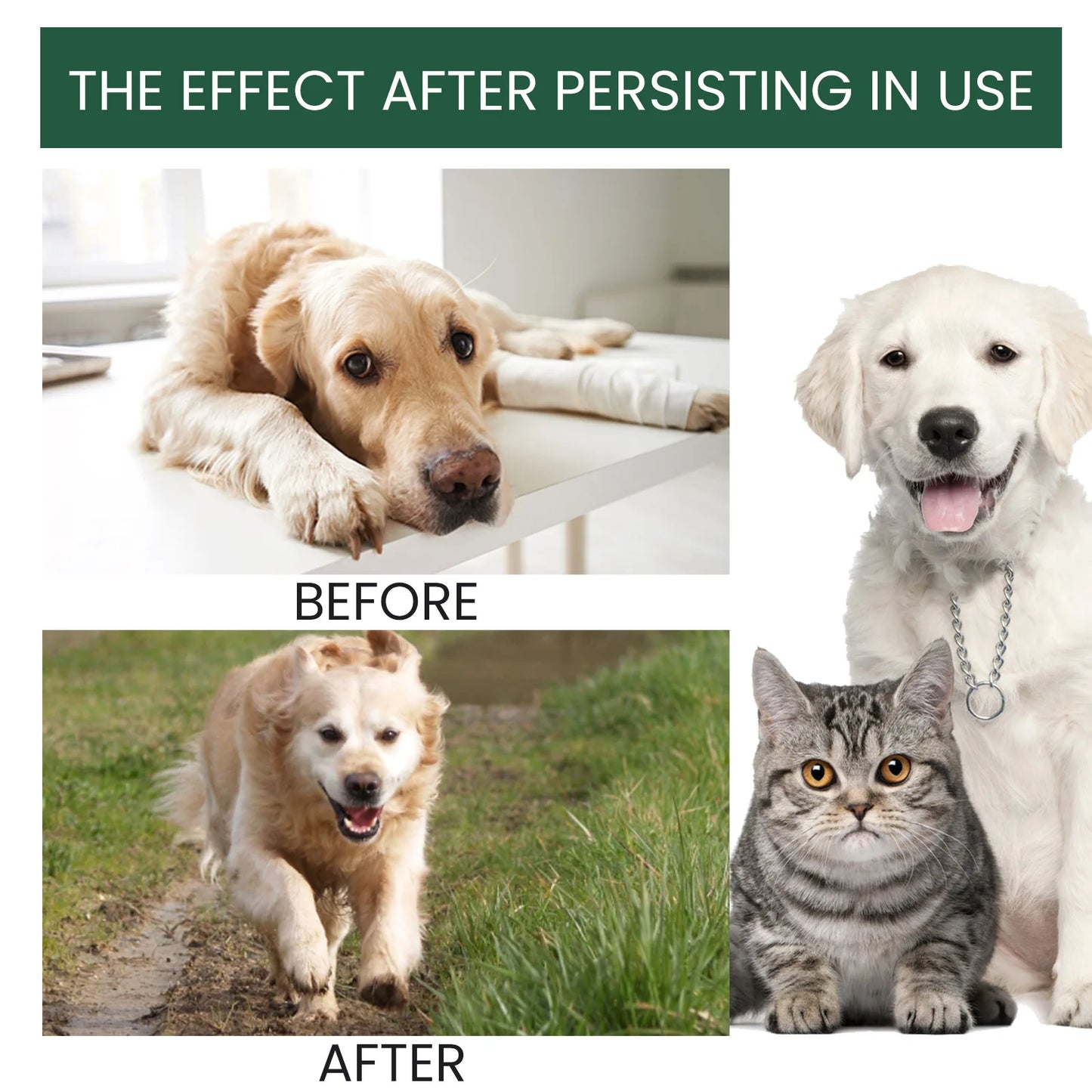 Dog Joint Care Drop Joint Discomfort Relief Bone Deformity Repair Arthritis Healing Hip Joint Supplement Pet Bone Care Solution