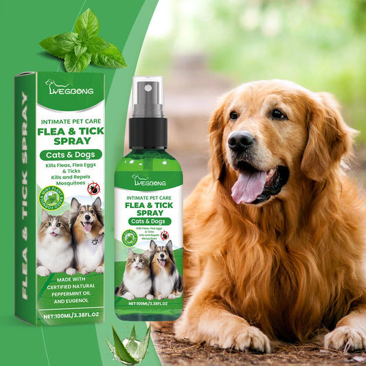 Mite Removal Spray Cats Dogs Flea Killer Itching Relief Remove Ticks Cat Allergy Treatments Anti Lice Insect Pet Skin Care Spray