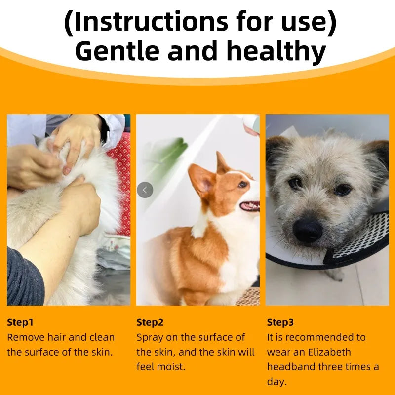 Pet Skin Care Spray Relieve Discomfort for Dogs Cat Flea Lice Control Alleviate Skin Cat Moss Dog Moss External Spray